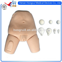 ISO Advanced Fundus of Uterus Examination Simulator